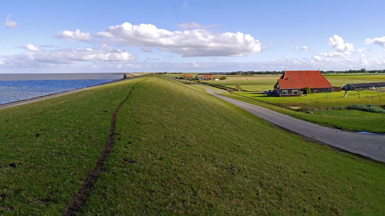 panorama-friese-waddenkust-4-edited_edited-1